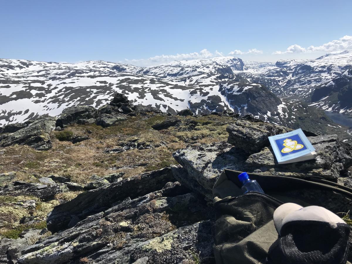 Voss Mountain