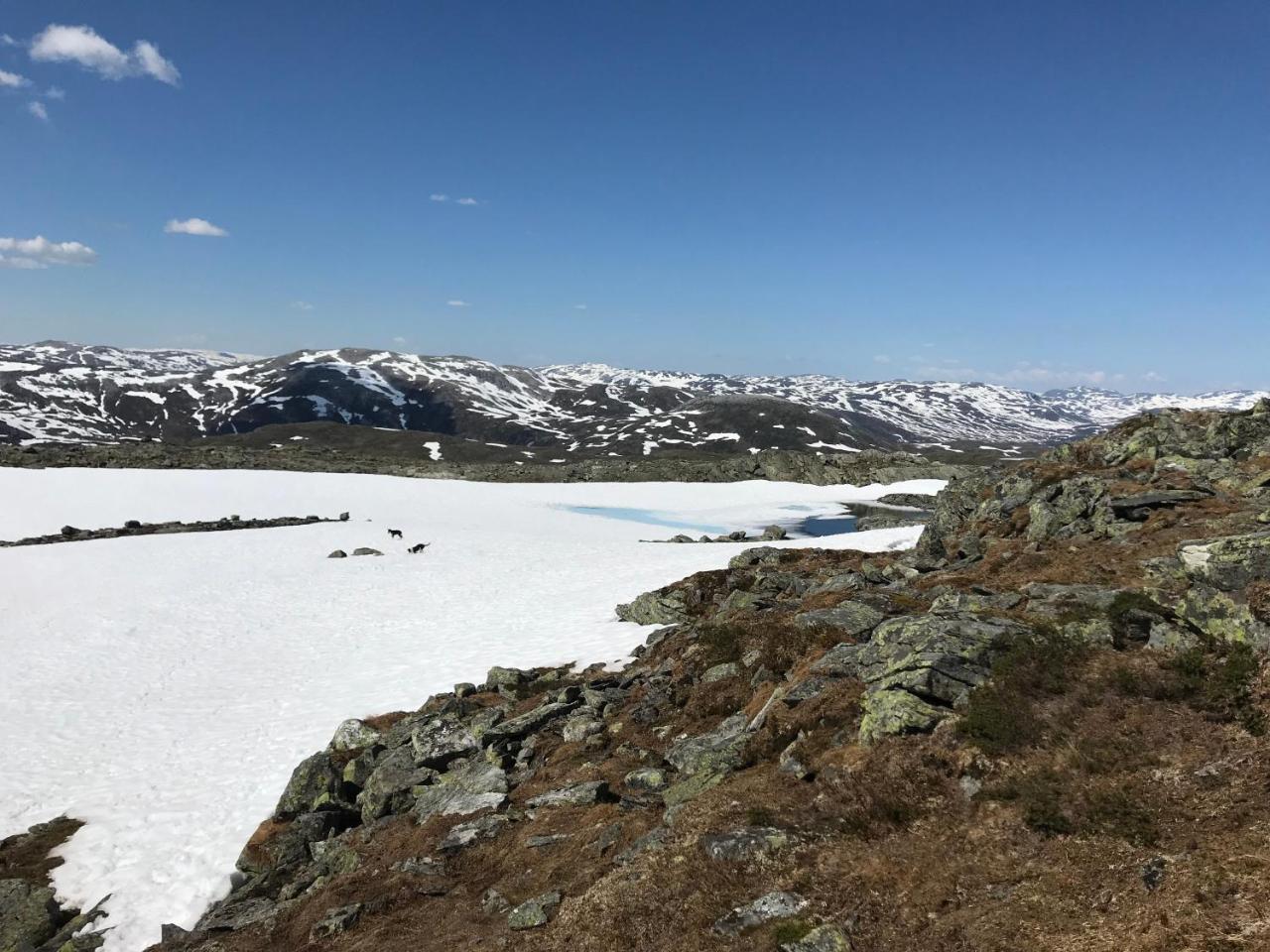 Voss Mountain
