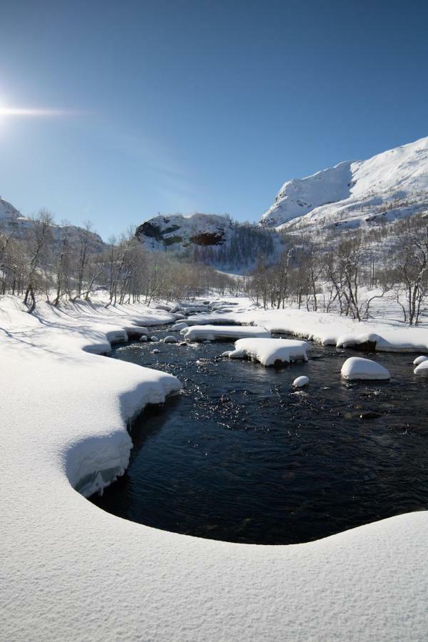 Voss Mountain Mjolfjell