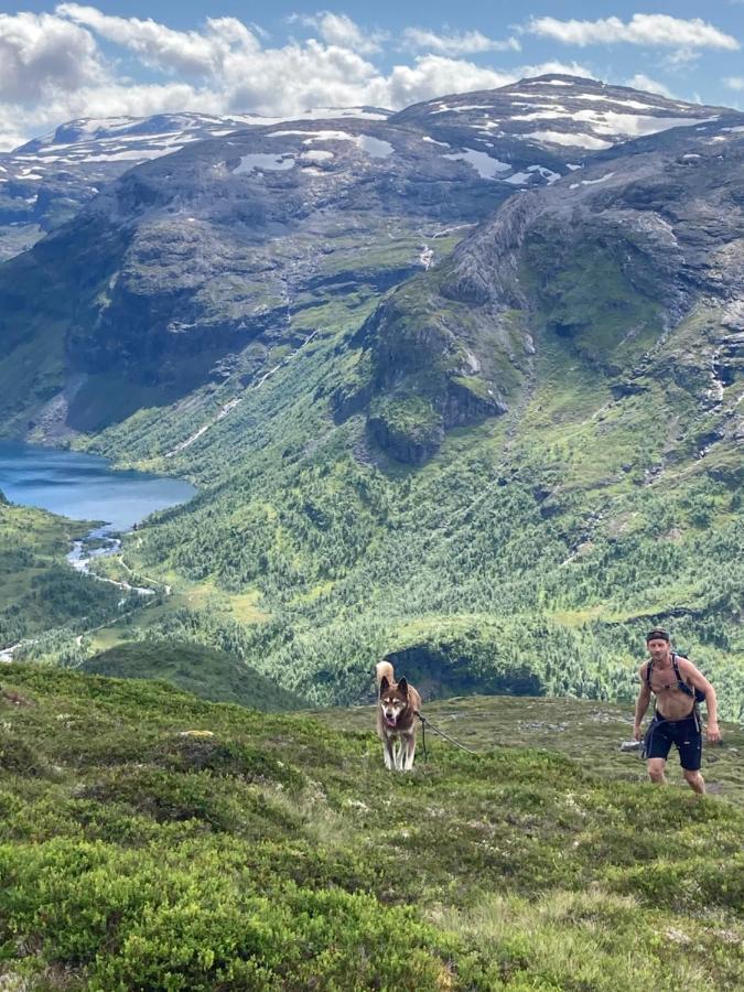 Voss Mountain Gæstehus *