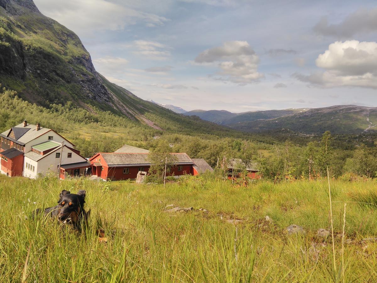 Gæstehus Voss Mountain Mjolfjell